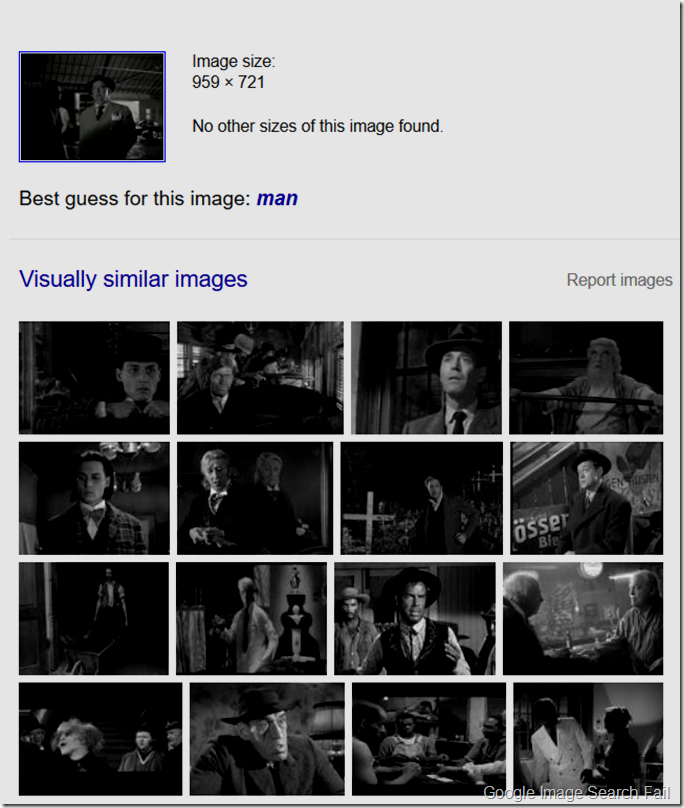 Google Image Search Fail 