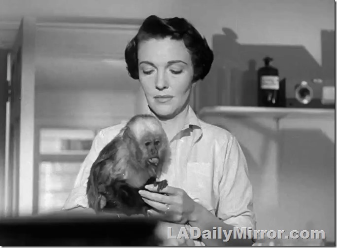 Mystery woman and mysterious lab monkey